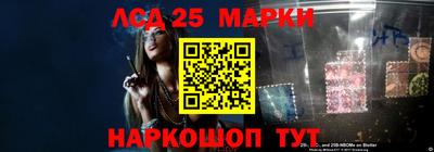 спиды Славгород