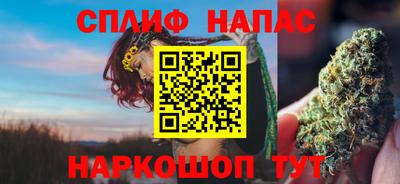 спиды Славгород