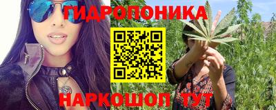 спиды Славгород