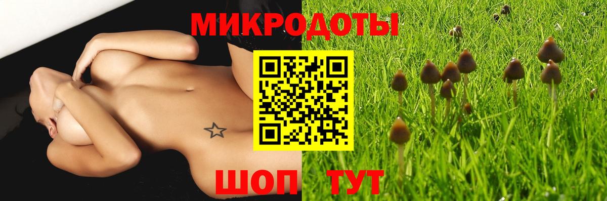 Нягань  Галлюциногенные грибы мицелий  Вход с VPN  Псилоцибиновые грибы Psilocybe 